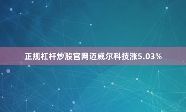 正规杠杆炒股官网迈威尔科技涨5.03%