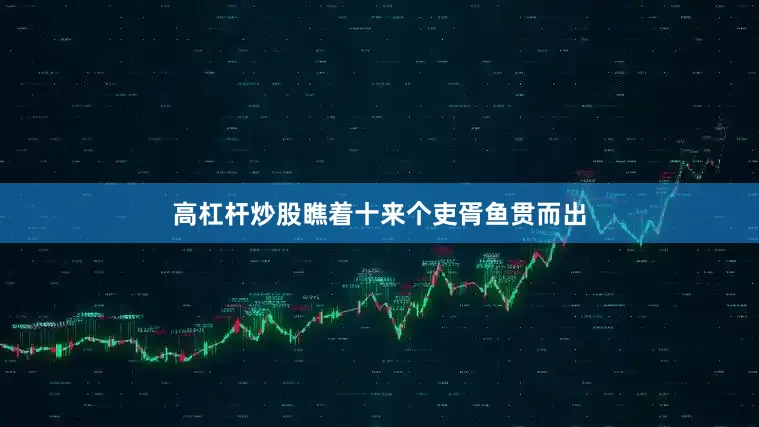 高杠杆炒股瞧着十来个吏胥鱼贯而出