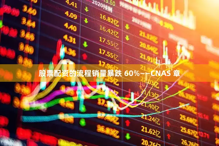 股票配资的流程销量暴跌 60%——CNAS 章